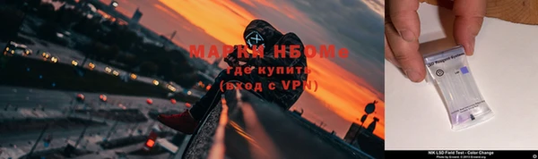 молекула духа Дмитров