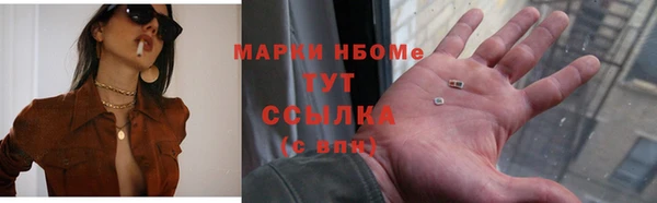 ПСИЛОЦИБИНОВЫЕ ГРИБЫ Ельня