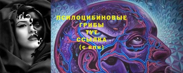 ПСИЛОЦИБИНОВЫЕ ГРИБЫ Ельня