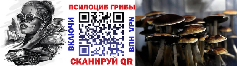 Галлюциногенные грибы Cubensis  Ессентуки 